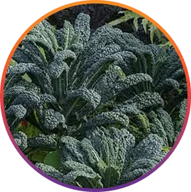 Glutathione ingredient